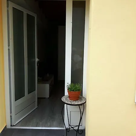 Fina M * Kali